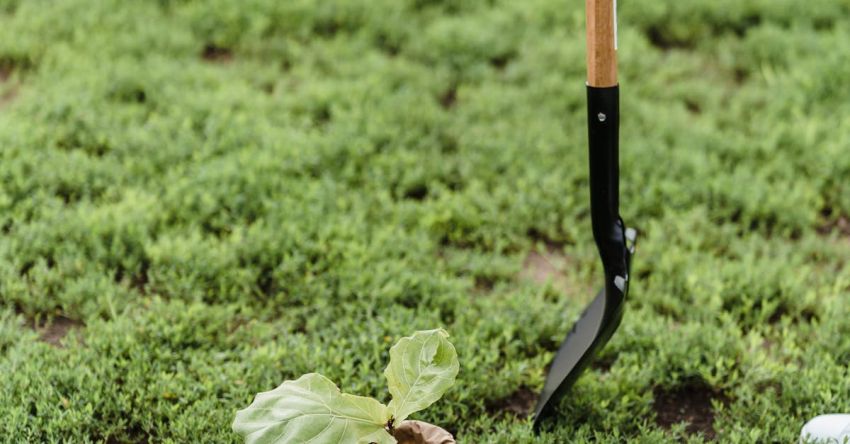 Expectations - Brown and Black Shovel on Green Grass Field